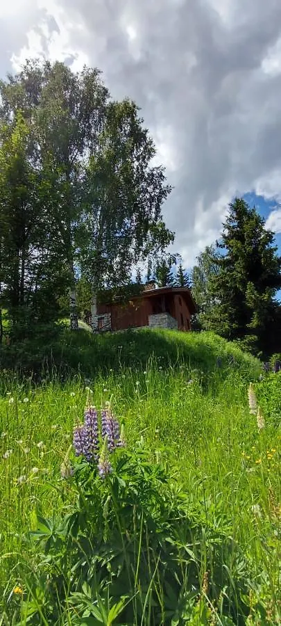 Chalet Privatif Pour 8 Personnes Aux Coches - Paradiski La Plagne France